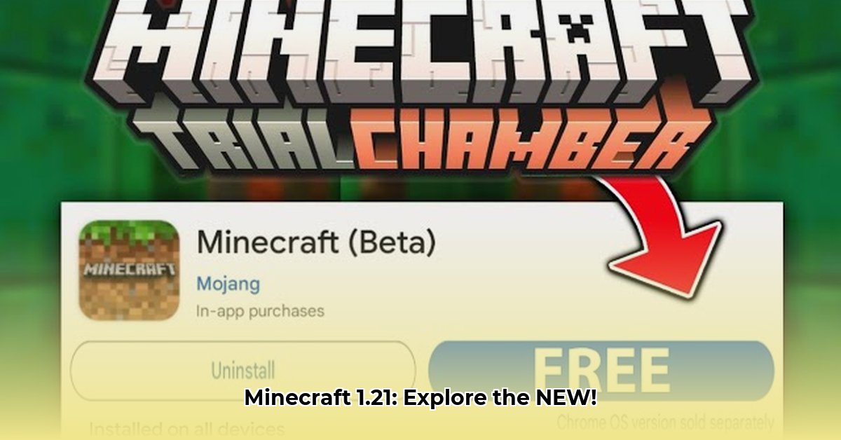 minecraft-download-version-1-21